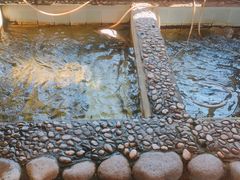 -白洋淀锅里口灶台鱼
