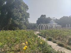 -东湖落雁景区