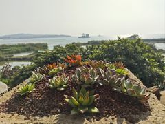 -亮河湾山庄