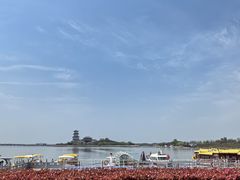 -卤阳湖国家湿地公园