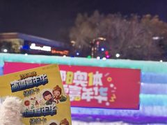-沈阳奥体冰雪嘉年华