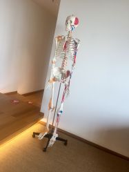 -松和日式美容整骨