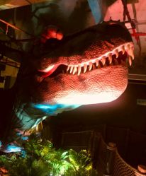 -恐龙探索乐园(磁器口店)