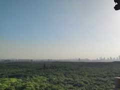 -灵谷景区