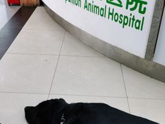 -爱侣宠医·鹦鹉专科·小型哺乳类·异宠专科(灵石路店)