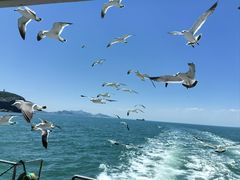 -海驴岛(荣成市)