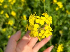 -桤木河湿地公园