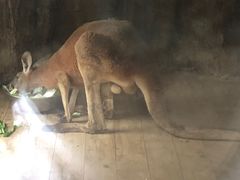 -杭州海底世界