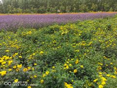 -北纬44度·金珠花海休闲农业旅游景区