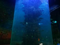 -青岛嘉年华主题乐园