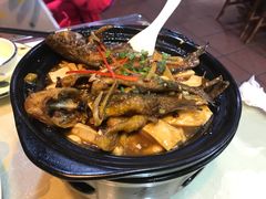 黄骨鱼焖豆腐-来客家食府 · 福建客家菜(厦禾路店)