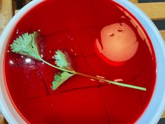 特色鲜鸭血-董家湾重庆老火锅(张家窝店)