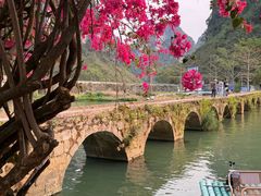 -靖西鹅泉风景区