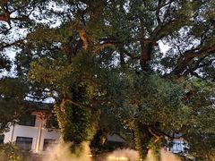 -普陀山雷迪森庄园