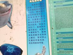 -广东惠东海龟国家级自然保护区