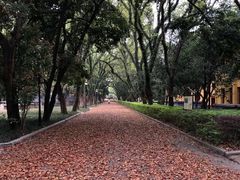 -桂林独秀峰王城景区