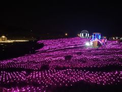 -大塘金香草谷