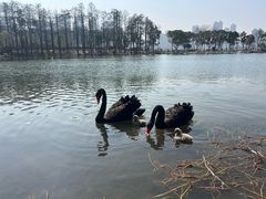 -武汉动物园