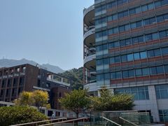 -香港大学