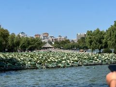 -济南大明湖景区
