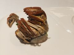 -洋洋中餐馆·SINCE 1997(信投店)