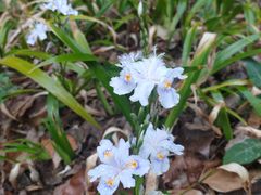 -仙海旅游度假区