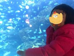 -邯郸海洋世界