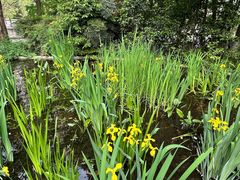 -成都市活水公园