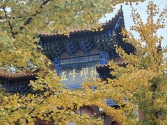 -遵化市禅林寺古银杏风景园