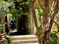 -森SPA·泰式按摩·精油Massage(宝安中心店)