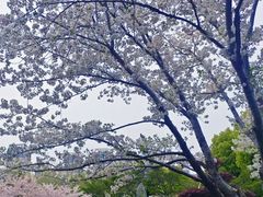 -堤角公园