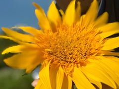 -春花秋色城市公园