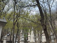 -天津盘山风景名胜区