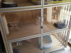 -小小班私人影院·猫咖(万达茂广场店)