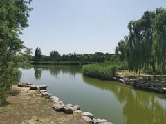 -大兴滨河森林公园