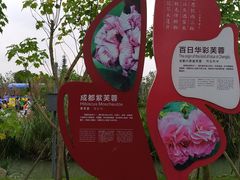 -天府芙蓉园