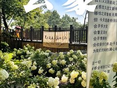-沂蒙山旅游区云蒙景区(蒙山国家森林公园)