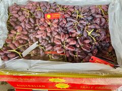 -东方鼎信农副产品交易中心