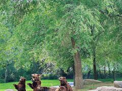 -北京野生动物园