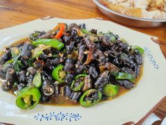 -罗浮山·罗园农庄