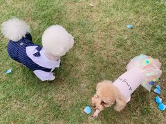 -上海怡沁园度假酒店