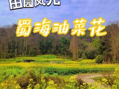 -青城山