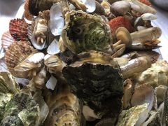 -宾朋海鲜美食餐厅·特色美食(兴海路店)