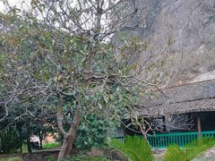 -李宗仁先生故居