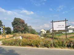 -莲花岛景区