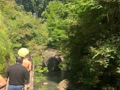 -石台牯牛降景区