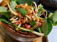 -云海肴汽锅鸡·云南小炒(天津国金汇店)