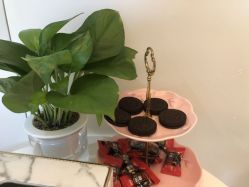 -苑苑vbeauty科技美容SPA