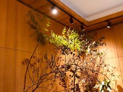 -蝶舍·MAISON PAPILLON