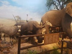 -陕西自然博物馆